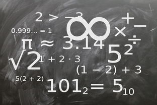 开云网址入口-中小学体育课程教学内容优化研究，中小学体育教学内容的衔接研究