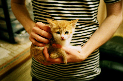 开云真人-争冠球队战术细节差异如何决定胜率，争冠组规则