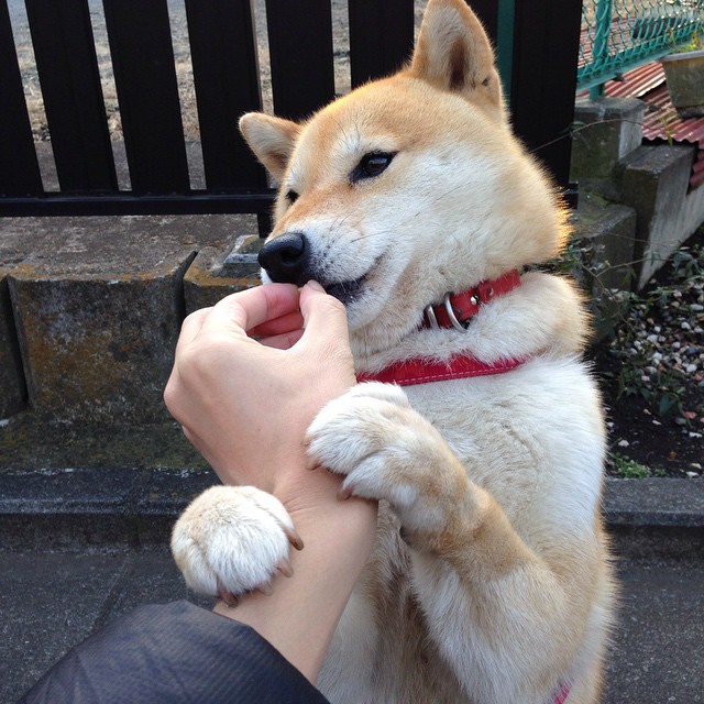 浙江球队青训营举办篮球夏令营吸引青少年，浙江篮球培训机构