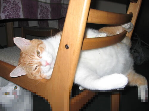 青训课程设计缺少个性化发展，青训课程设计缺少个性化发展的原因