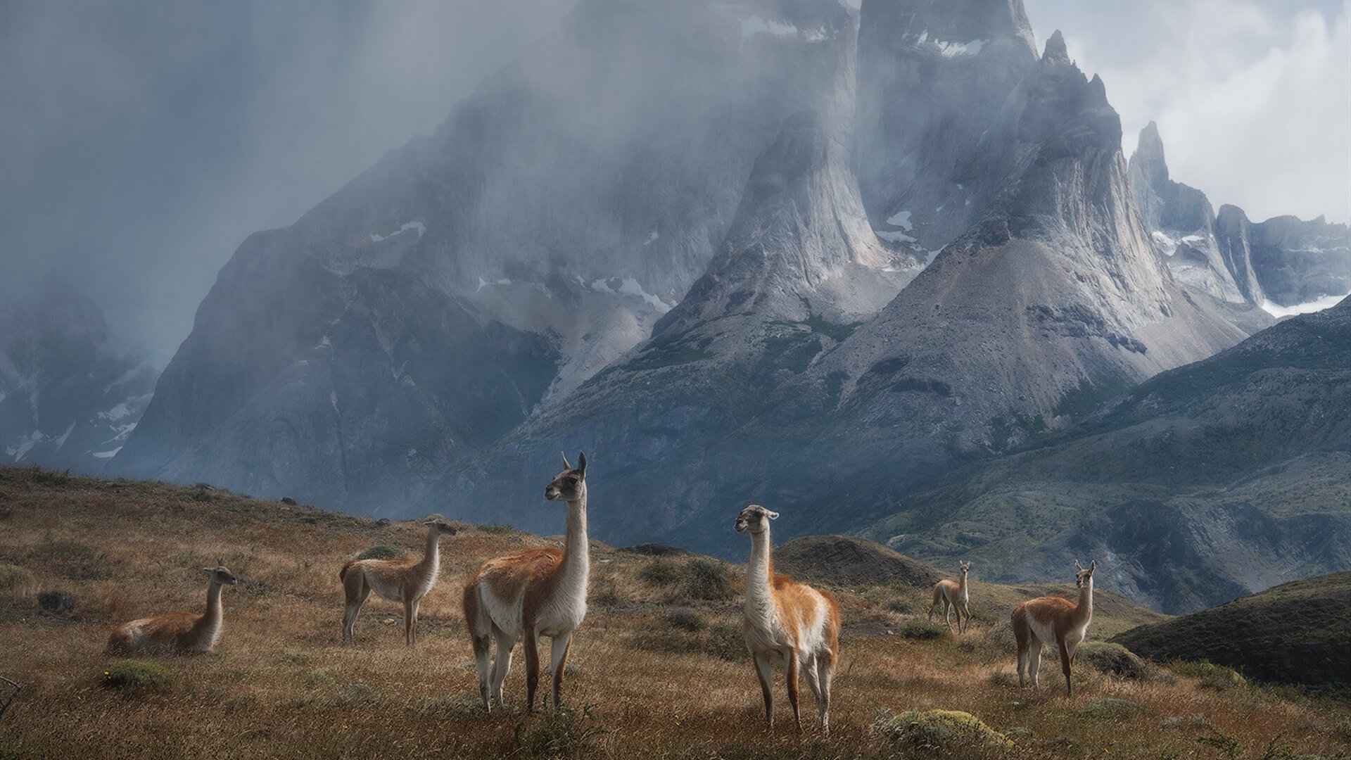 中国足球设立体能恢复专项课题推动相关研究发展，国足体能训练